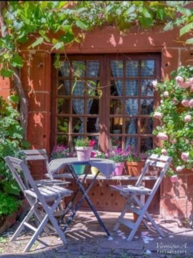 Bed and Breakfast Le Parc Des 4 Saisons Corrèze Exterior foto
